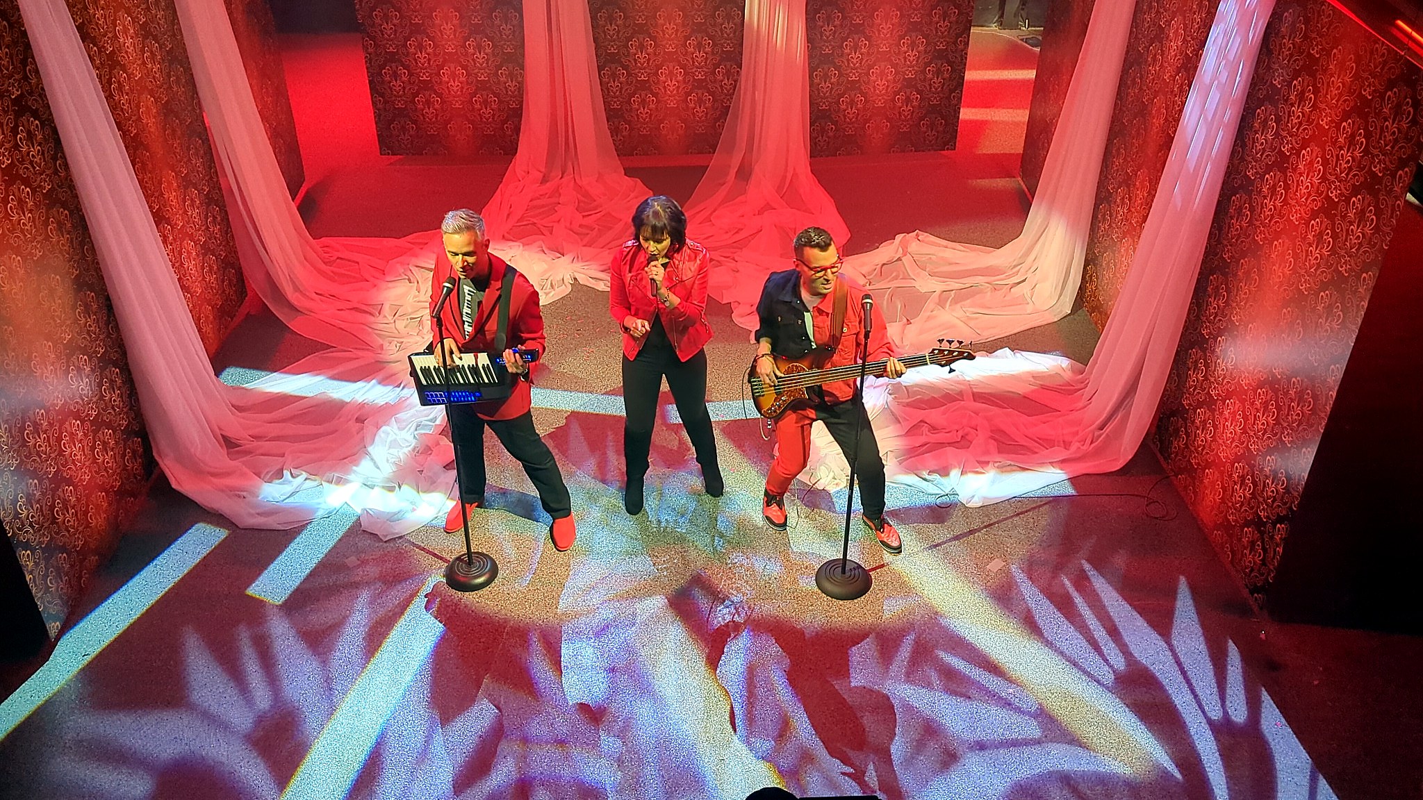 Close view of a live performance on a custom scenic stage at a private event
